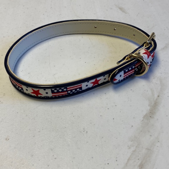 4th of July Dog Collar - Small / Medium